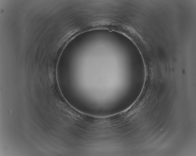 X0000073901217200608180950