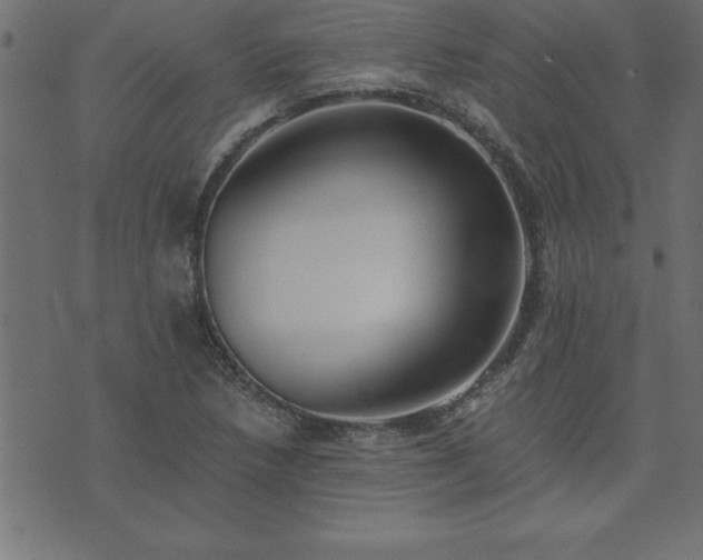 X0000073901218200608180950