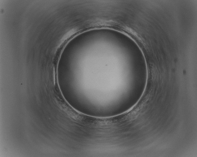 X0000073901219200608180950