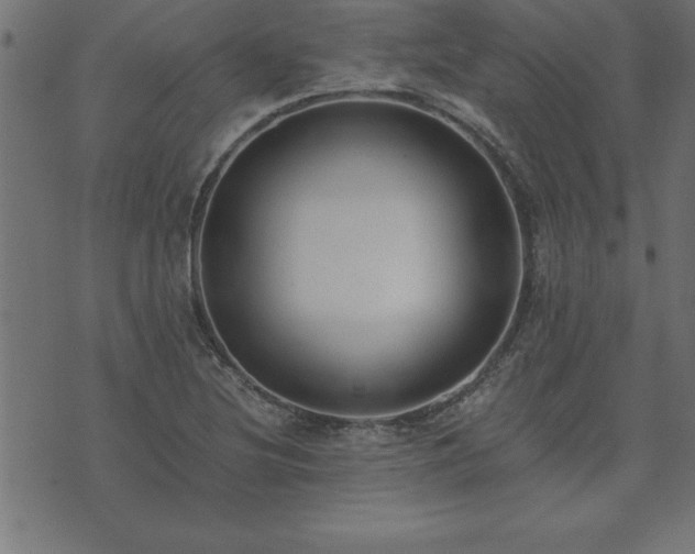 X0000073901220200608180950