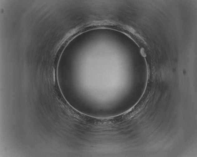 X0000073901221200608180950