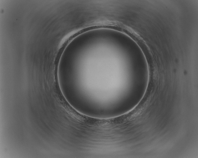 X0000073901222200608180950