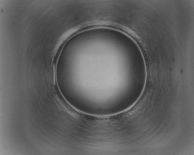 X0000073901223200608180950