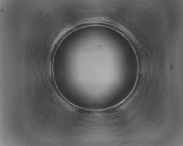 X0000073901224200608180950