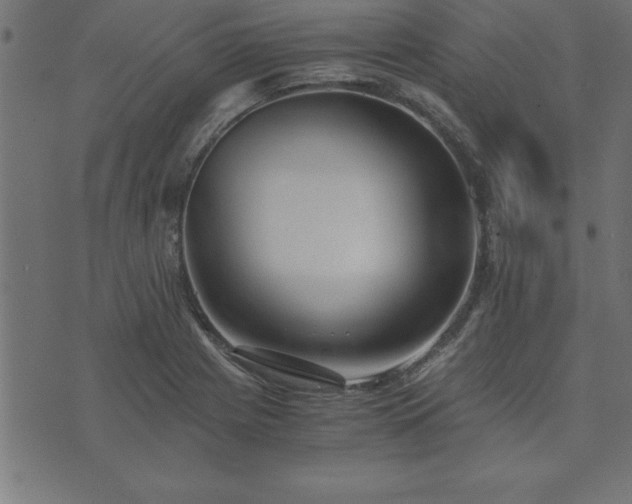 X0000073901225200608180950