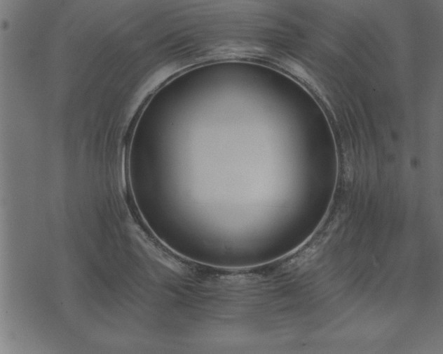 X0000073901227200608180950