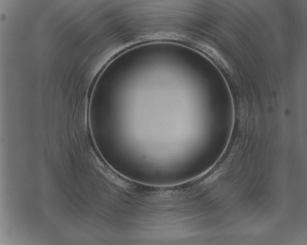 X0000073901228200608180950