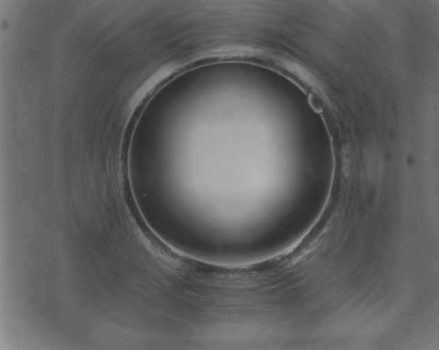 X0000073901229200608180950