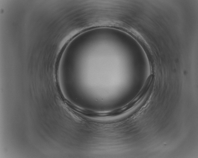 X0000073901230200608180950