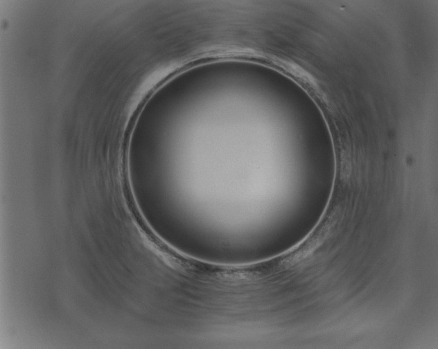 X0000073901231200608180950