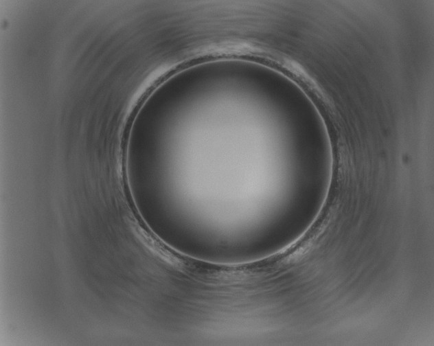 X0000073901232200608180950