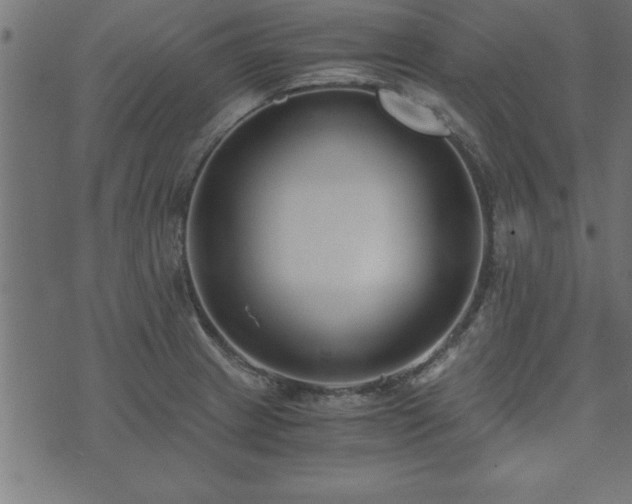 X0000073901233200608180950