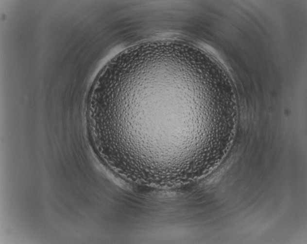 X0000073901235200608180950