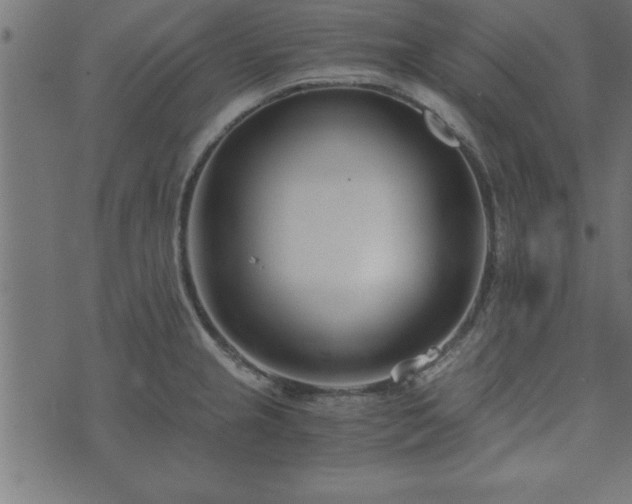 X0000073901237200608180951