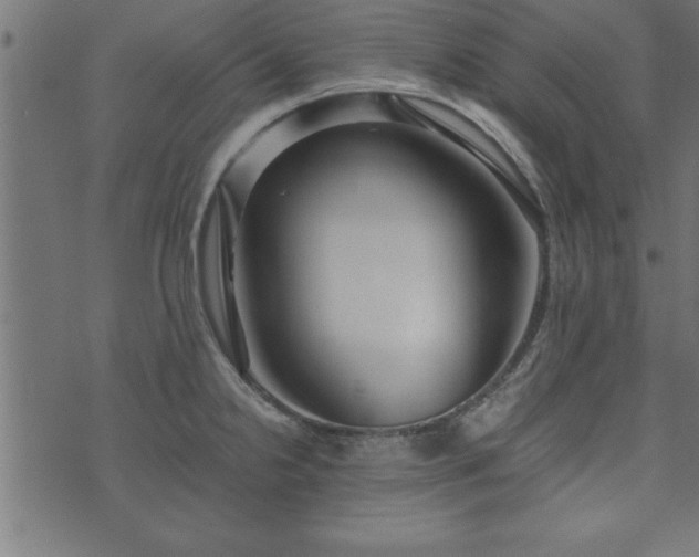 X0000073901238200608180951