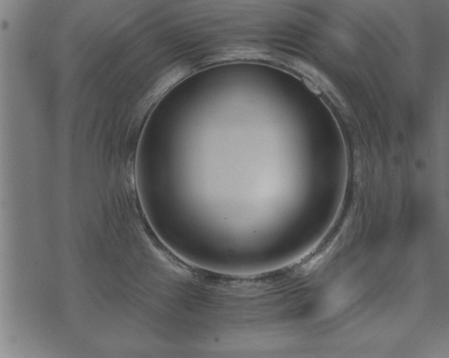 X0000073901241200608180951