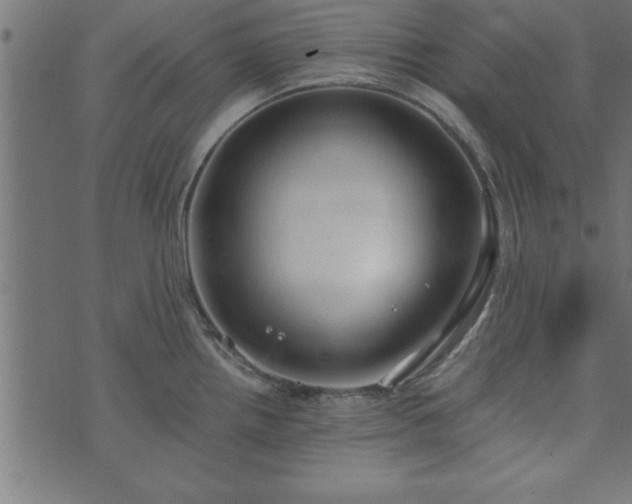 X0000073901242200608180951