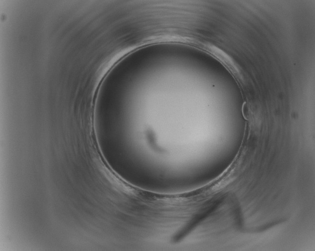 X0000073901244200608180951