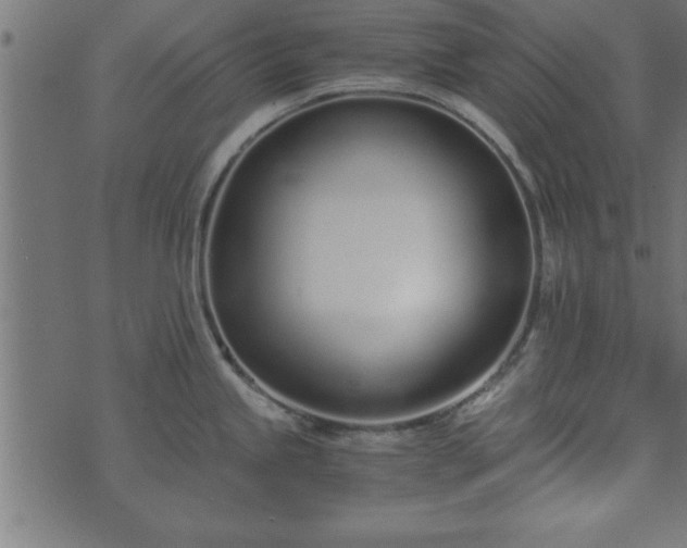 X0000073901245200608180951