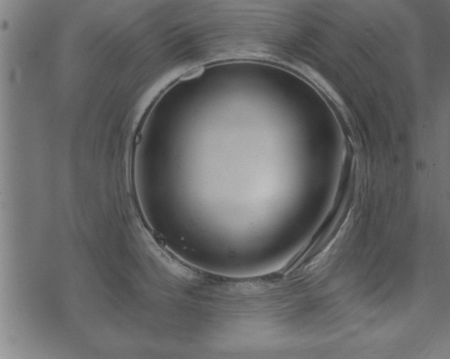 X0000073901246200608180951