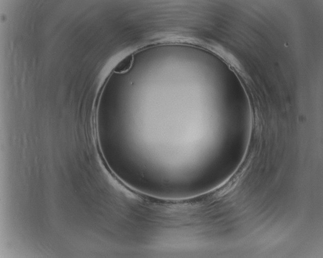 X0000073901247200608180951