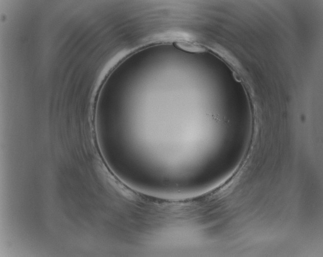 X0000073901248200608180951