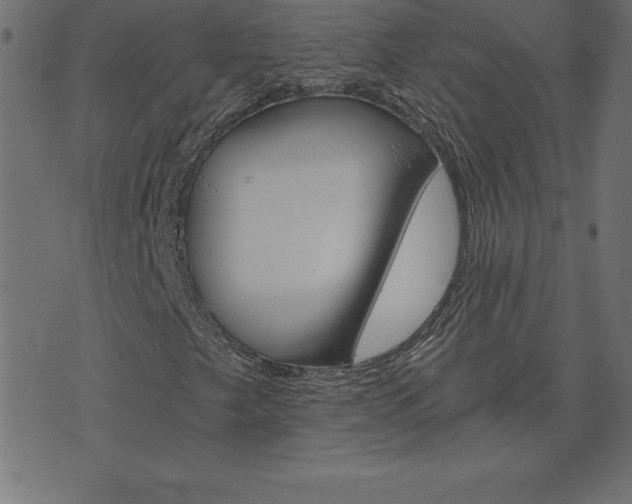 X0000073901249200608180950