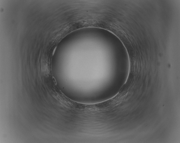 X0000073901250200608180950