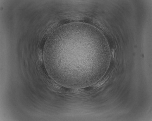 X0000073901251200608180950