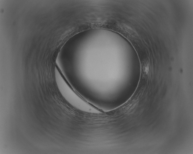 X0000073901252200608180950