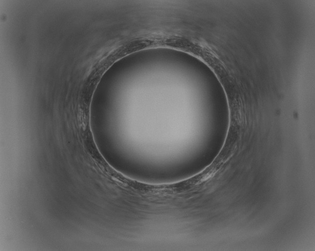 X0000073901253200608180950