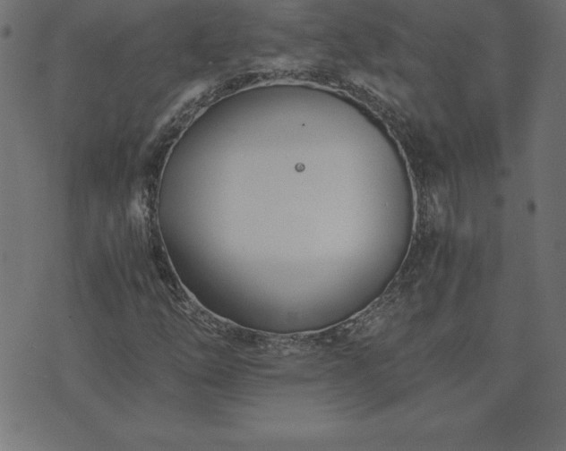 X0000073901254200608180950