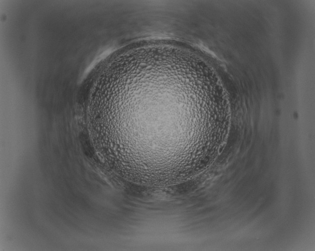 X0000073901255200608180950