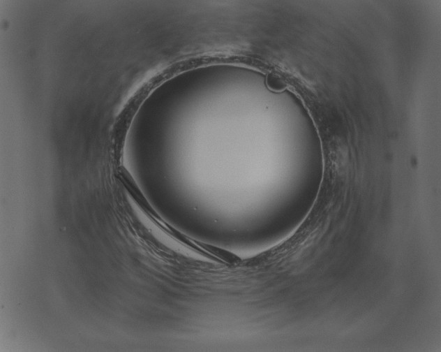 X0000073901256200608180950