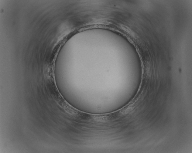 X0000073901258200608180950