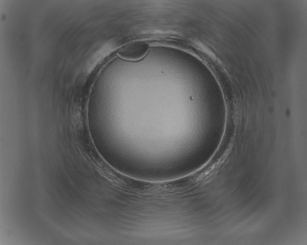 X0000073901259200608180950