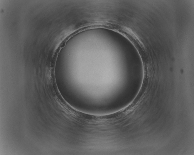 X0000073901260200608180950