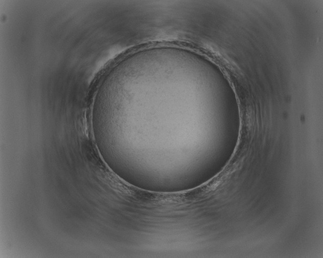 X0000073901262200608180950