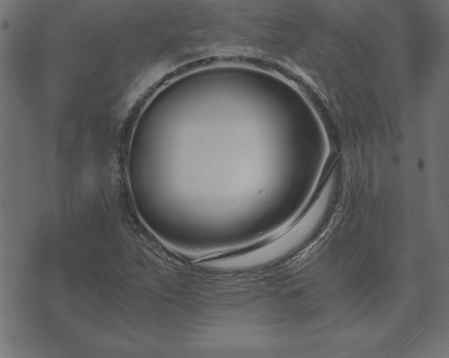 X0000073901263200608180950