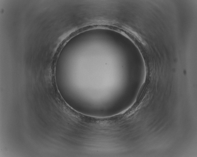 X0000073901264200608180950