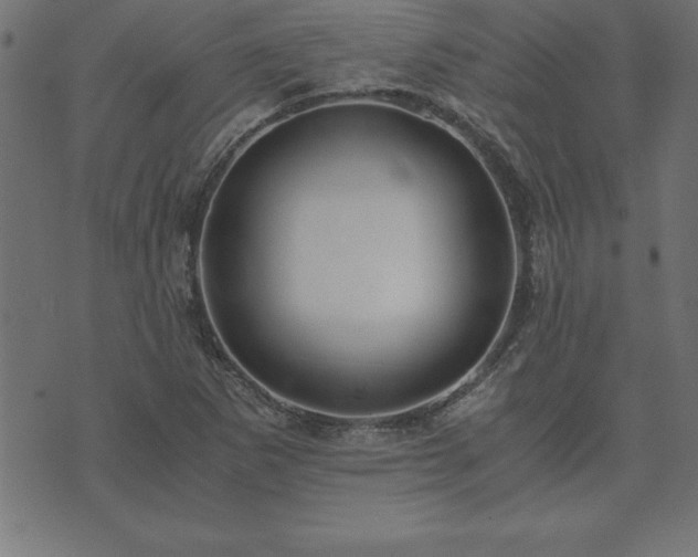 X0000073901265200608180950