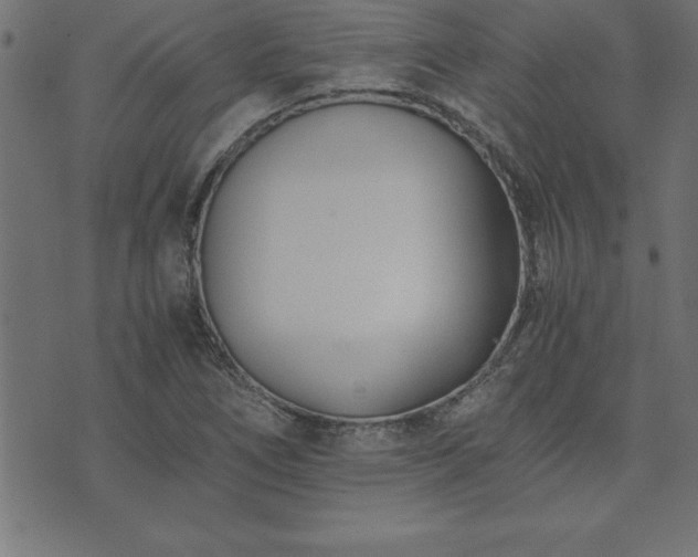 X0000073901266200608180950