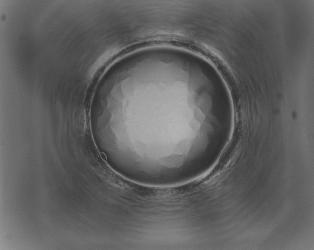 X0000073901267200608180950