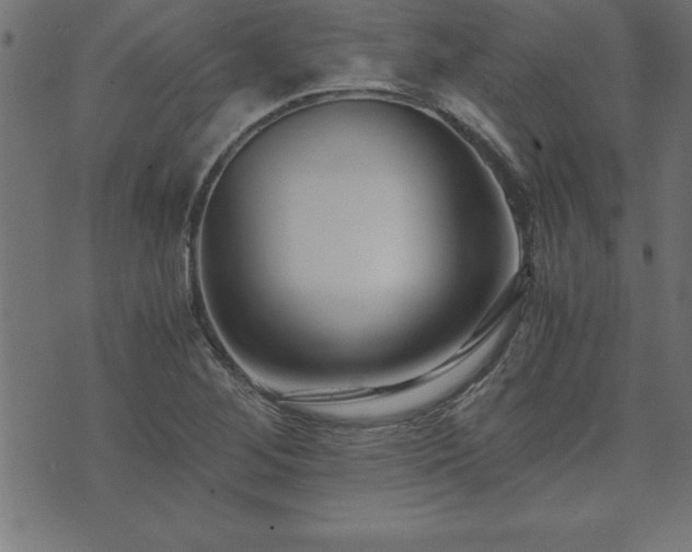 X0000073901268200608180950