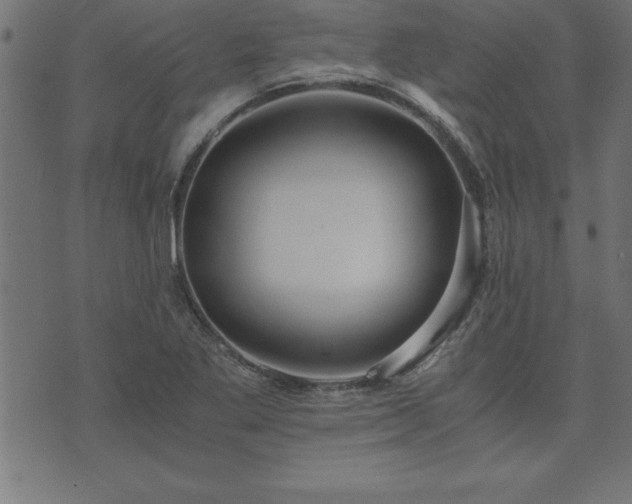 X0000073901269200608180950