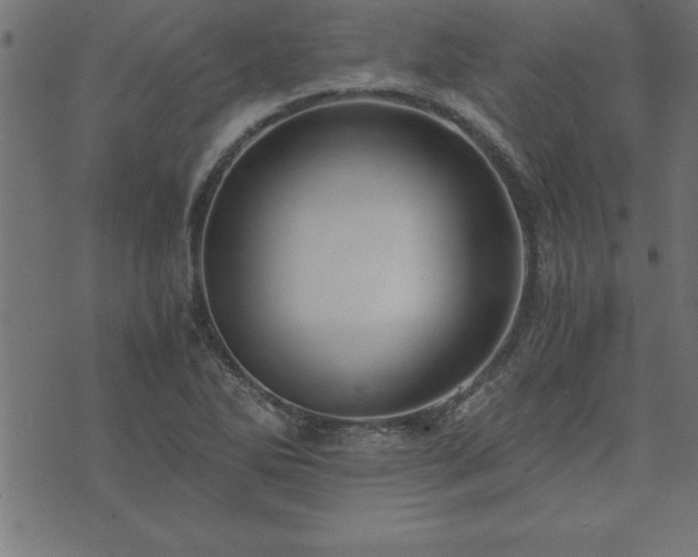 X0000073901270200608180950