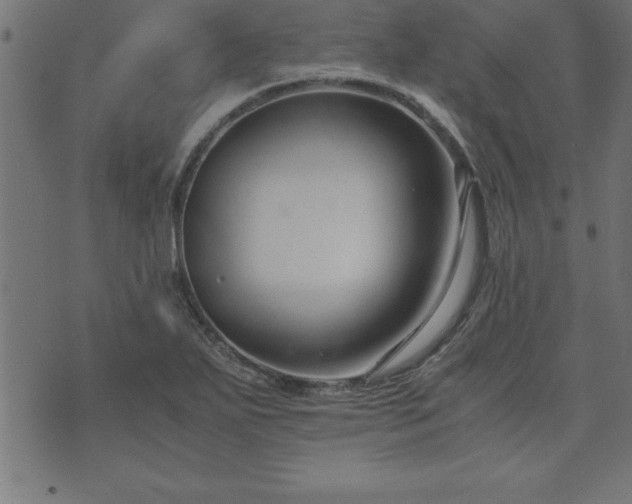 X0000073901271200608180950