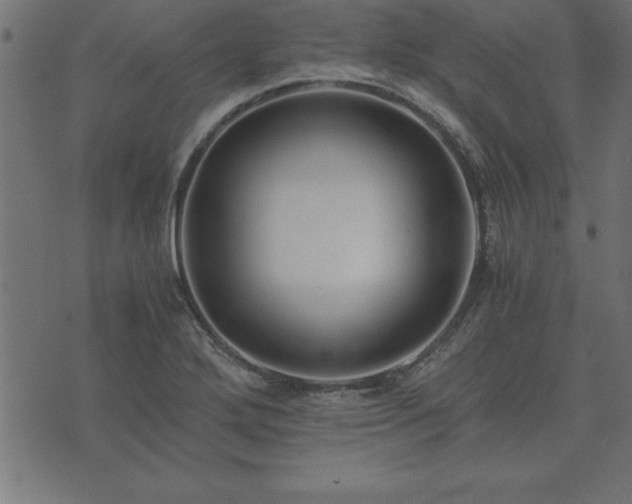 X0000073901272200608180950