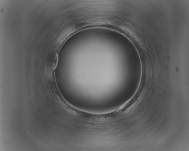 X0000073901273200608180950