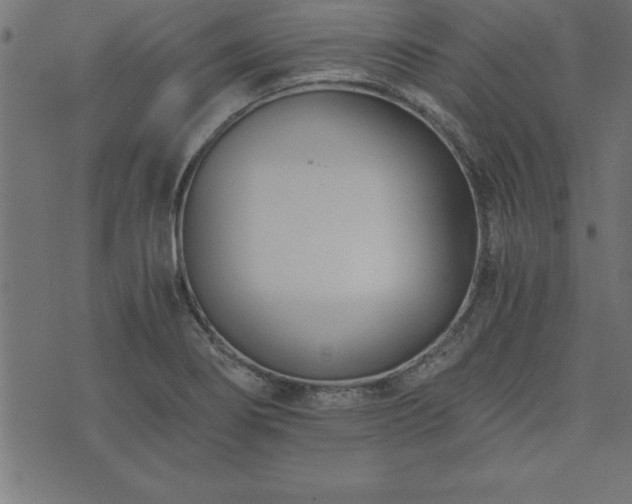 X0000073901274200608180950